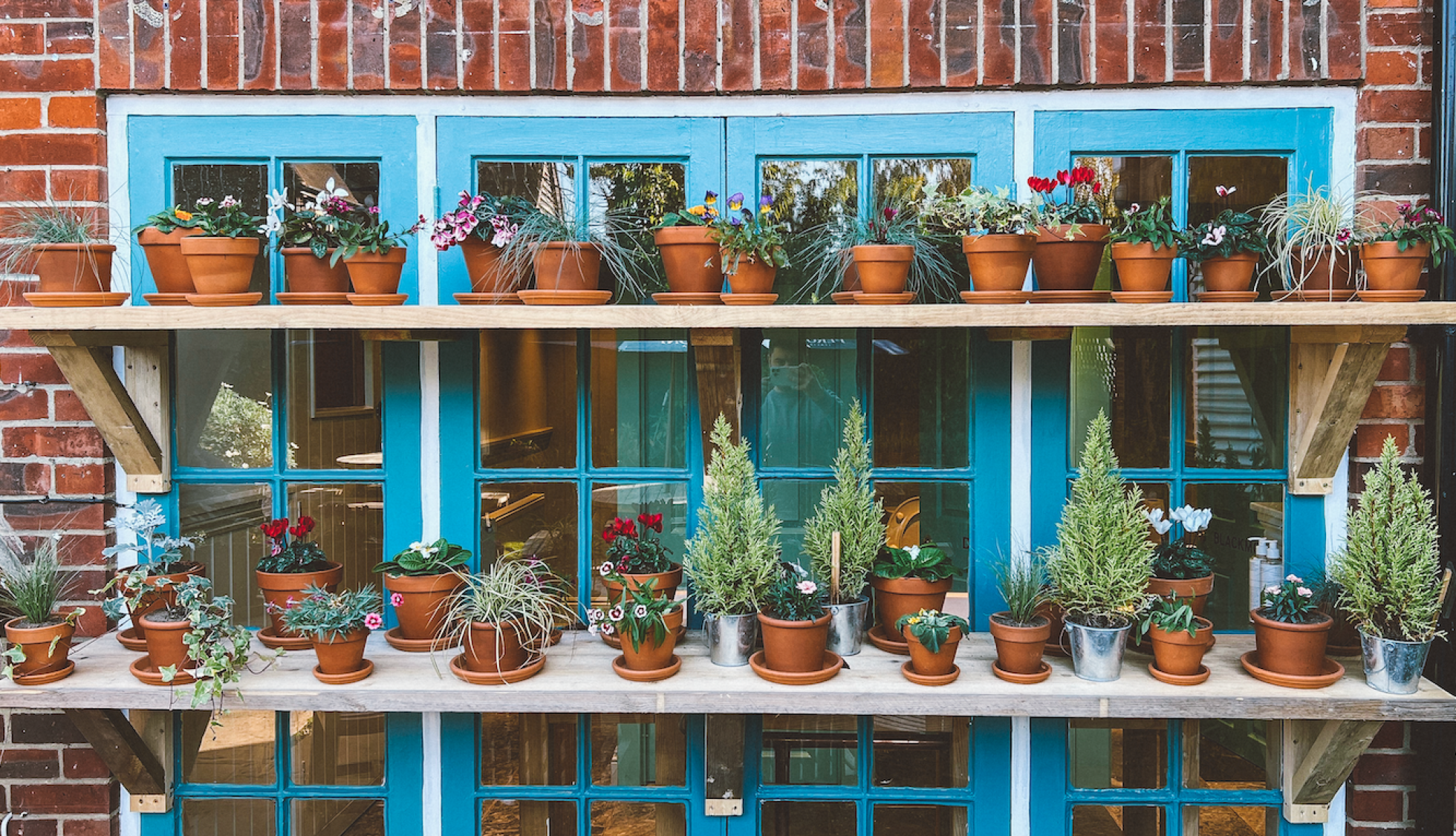Garden Plant Pots