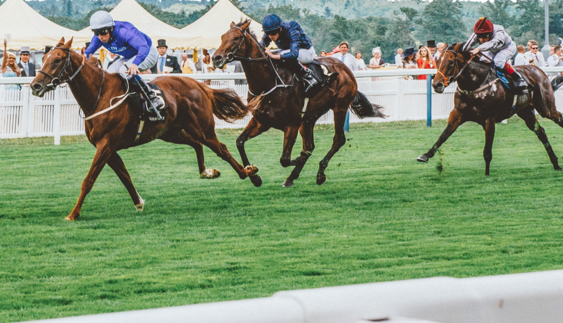 Ascot Races